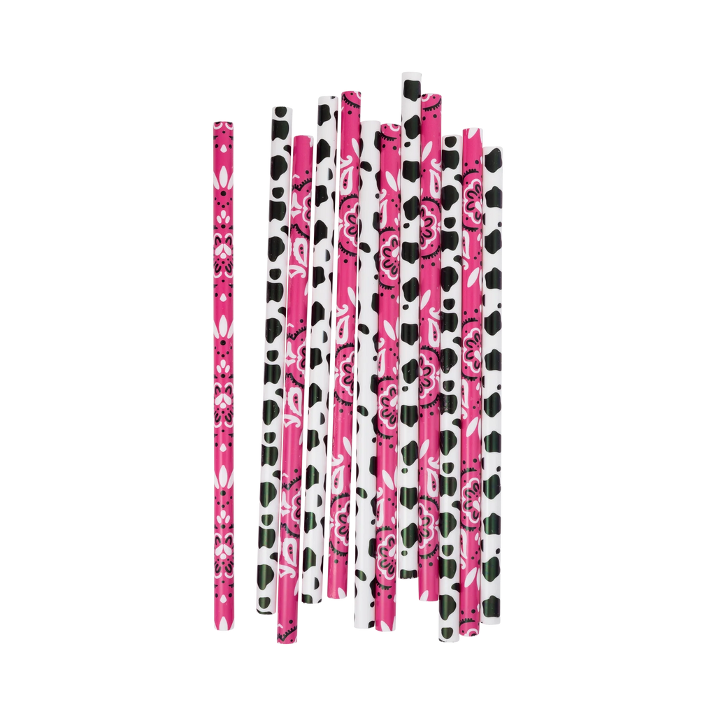 Cowgirl Reusable Straws