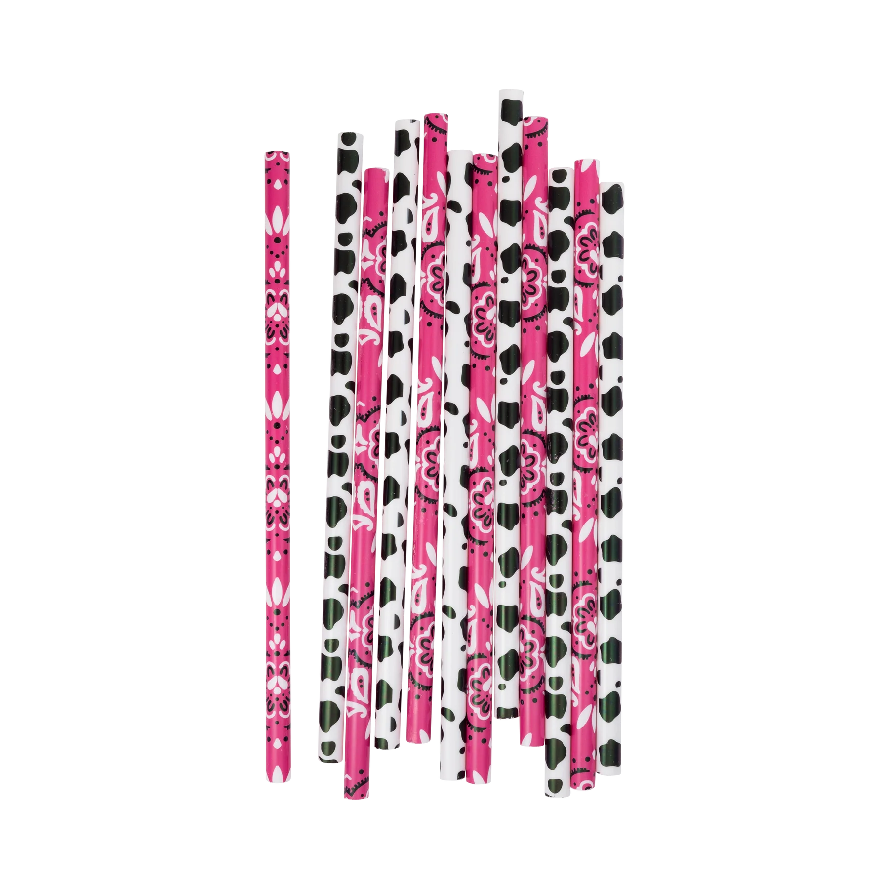 Cowgirl Reusable Straws