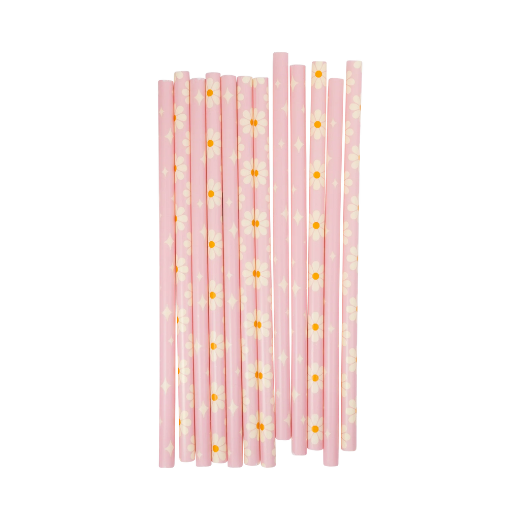Disco Daisy Reusable Straws