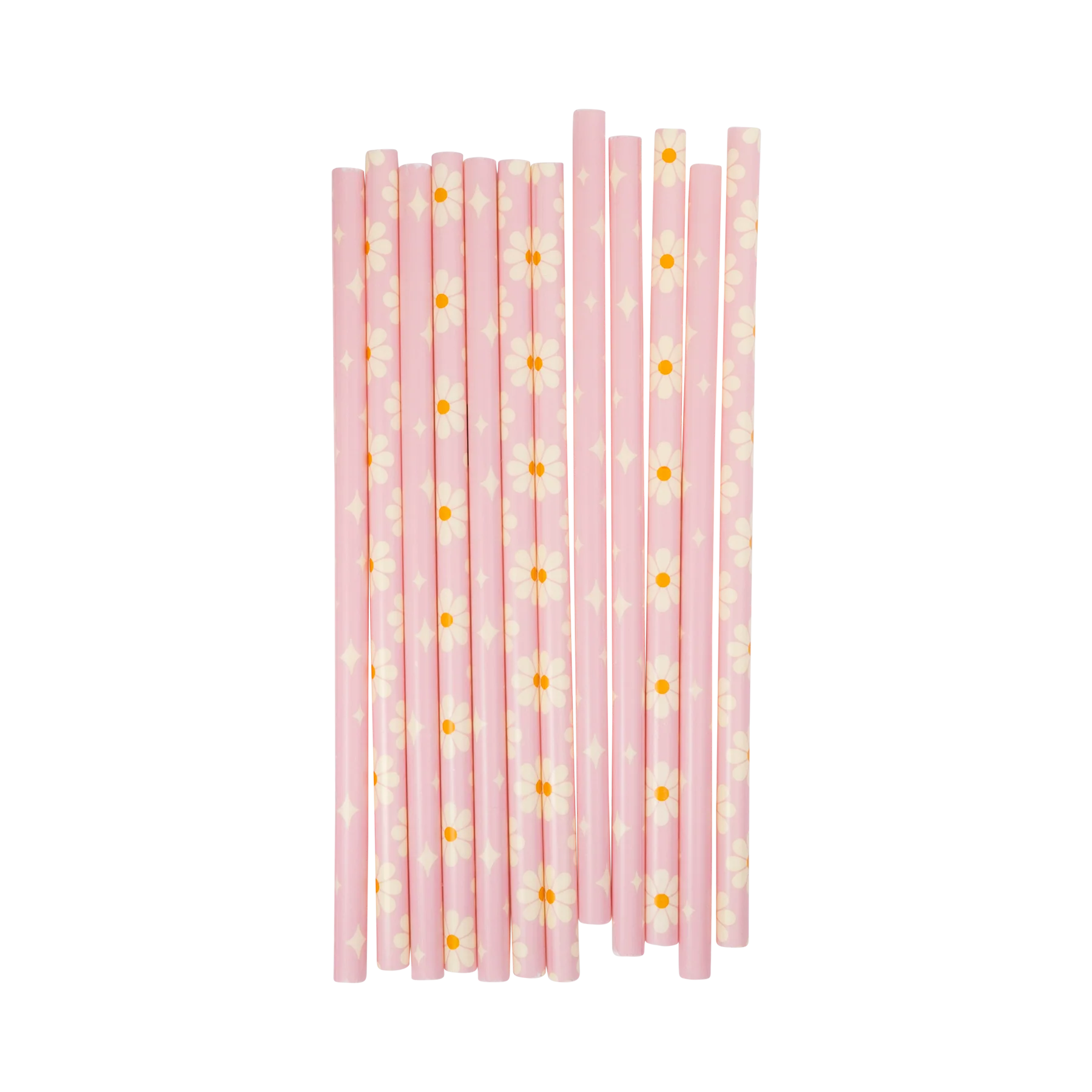 Disco Daisy Reusable Straws